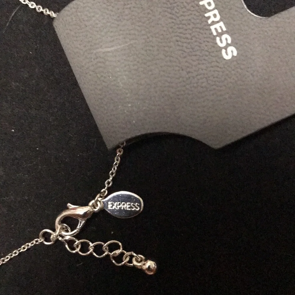 Express silver necklace with purple and silver charms NWT - Picture 3 of 6